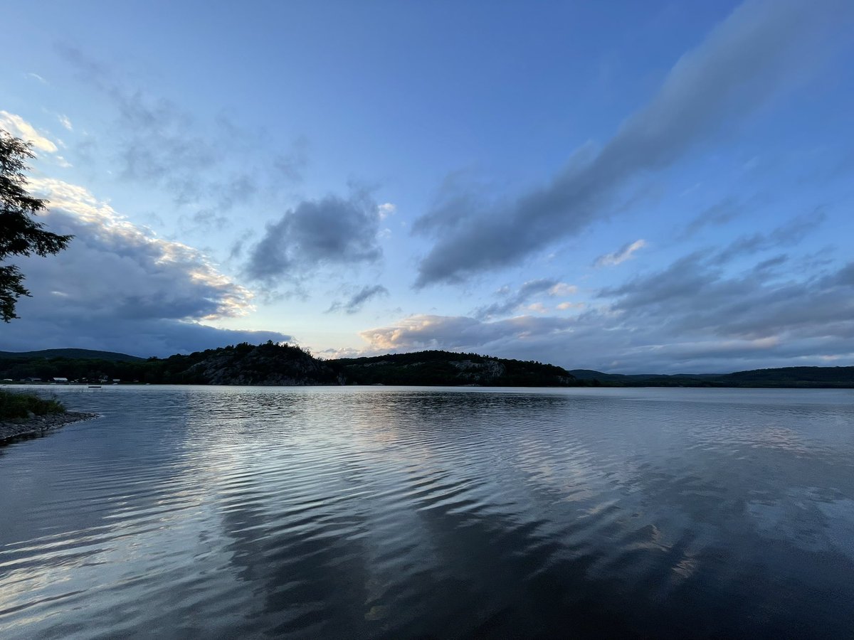 Joe Maurice tweet media