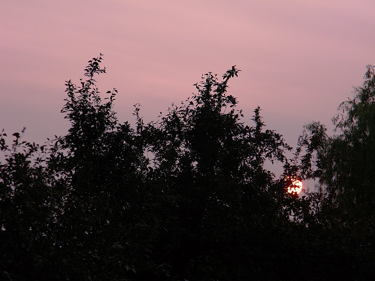 An evening when the air quality was bad in my neck of the woods. So striking. Strangely beautiful.