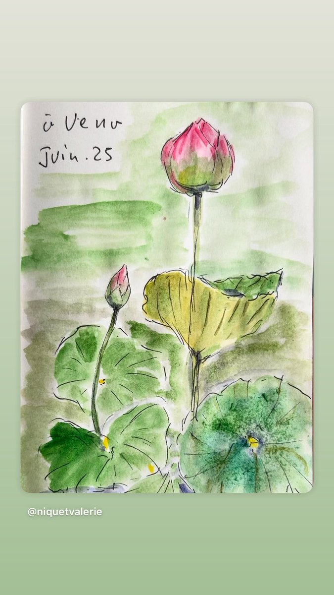 Sketching #Japan 🇯🇵