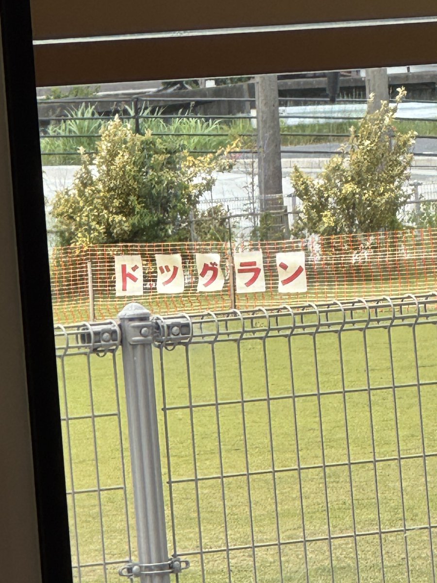 keizou52's tweet photo. 犬にしばかれるんかな https://t.co/Zu1IVbUxyr