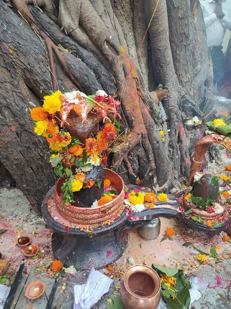 जटाधर, शाश्वत, उग्र, हे शंभू! गंगेश्वर 
शिव, मेरे ईश्वर, तुम्हे शत्-शत् नमन महेश्वर ❤️
हर हर महादेव 🙏