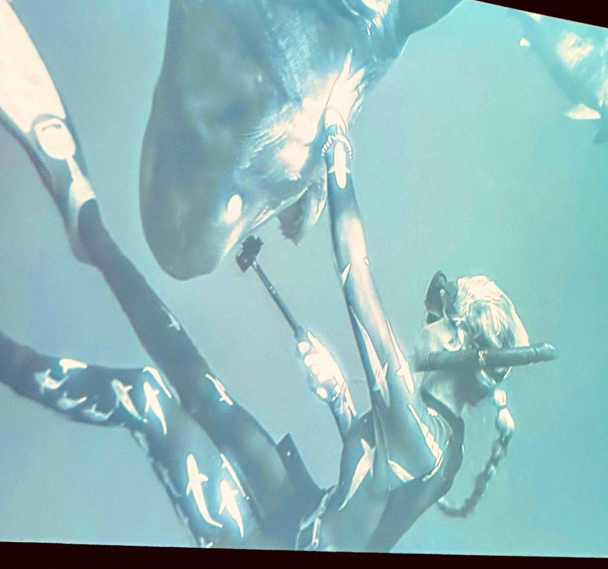 KÖPEKBALIKLARINA FISILDAYAN KIZ..

Ocean Ramsey’in köpekbalıklarıyla kurduğu ilişki, yalnızca bu yırtıcıların dilini nasıl “konuşabileceğimizi” göstermekle kalmaz; aynı zamanda her birimizin, günlük uygarlık katmanlarının altında sakladığı vahşi, ilkel bir yan taşıdığını da