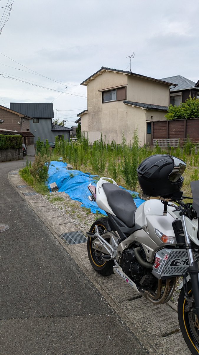 雨。が！😥