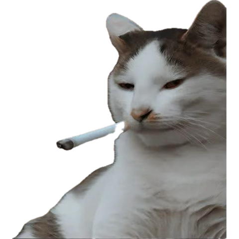 TuercasLol tweet media