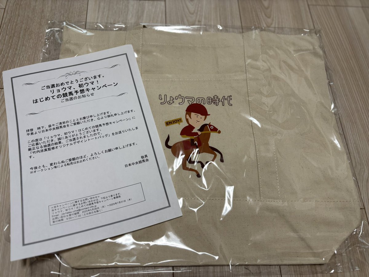 【SALE】竹内涼真 2P（大型ポスターサイズ）#8256 SALE】竹内涼真 2P（大型ポスターサイズ）#8256 【公式通販】