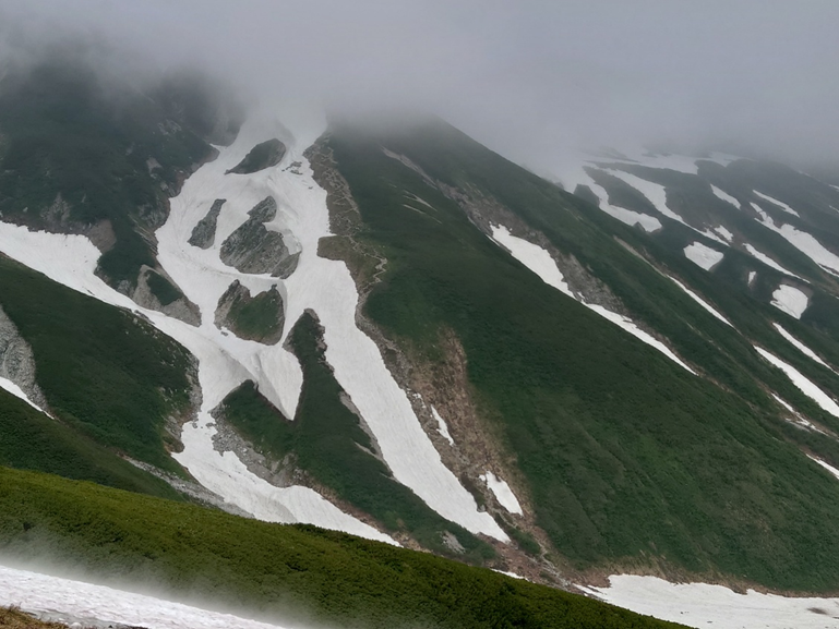 toyama_sangaku's tweet photo. 【続報：大走りルートの残雪状況について】
　7月10日現在、真砂岳の大走りルート下部にあった急峻な残雪が融雪により無くなりました。残雪が無くなったばかりで登山道上に浮石が目立ちますので、浮石踏みによるバランス崩し、砂利によるスリップにも気を付けて下さい https://t.co/flft12HqGy