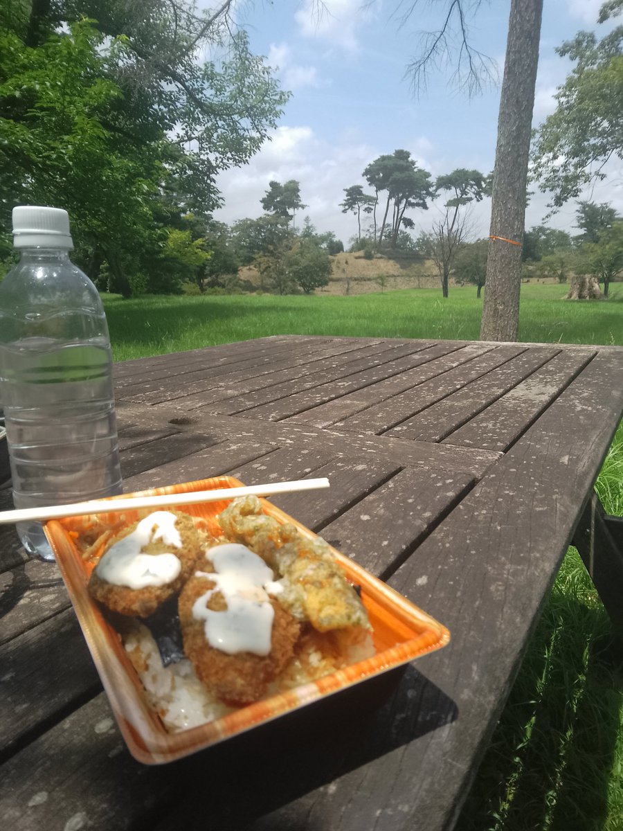 公園でお昼ごはん🍚