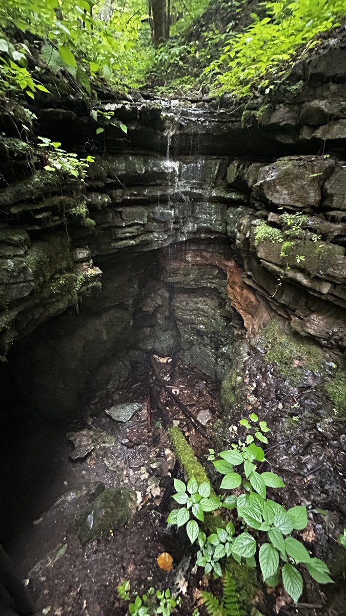 KYWeatherLab's tweet image. This is one of my go-to hiking spots in Kentucky. Henson's Arch Trail, at Whittleton Campground, leads to a ridiculously cool limestone arch and waterfall at the entrance to a cave. #Hiker #HikerLife #KYWX #ExploreKY