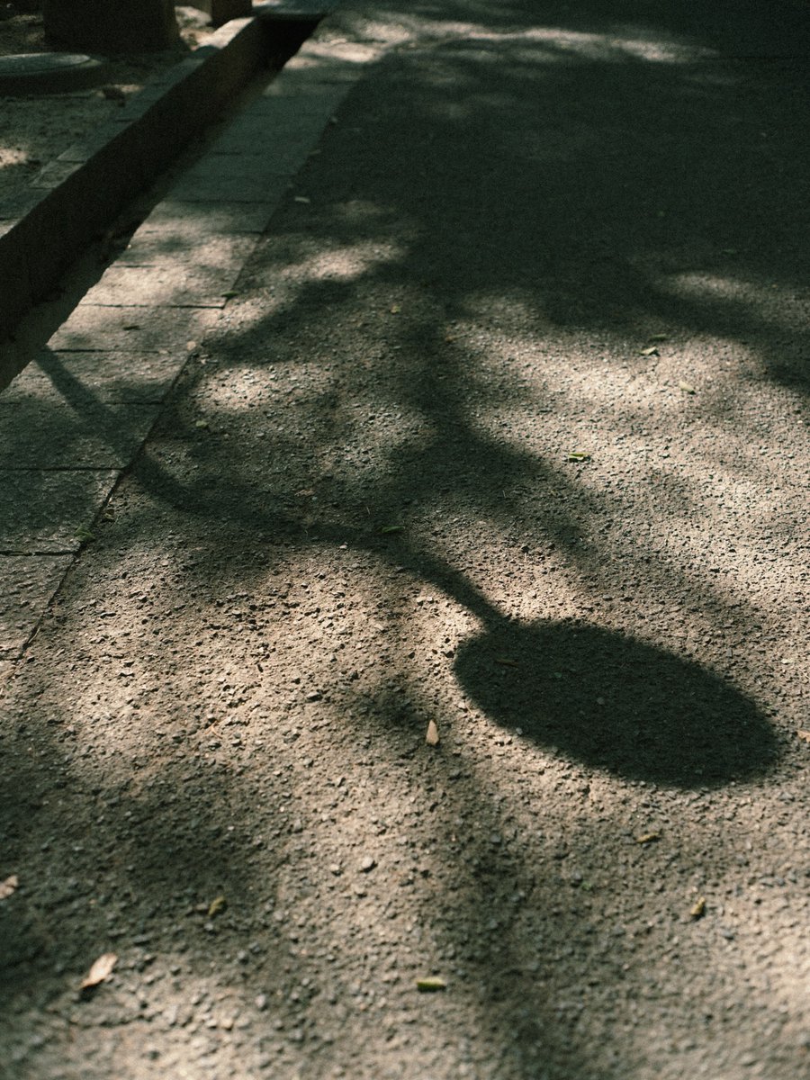 32_mitu_oo0's tweet image. light.