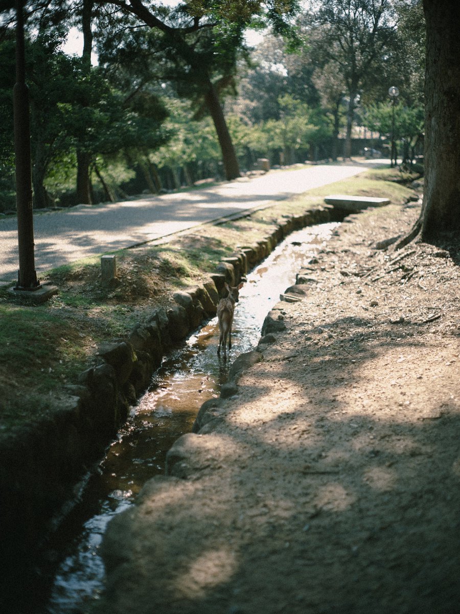 32_mitu_oo0's tweet image. light.