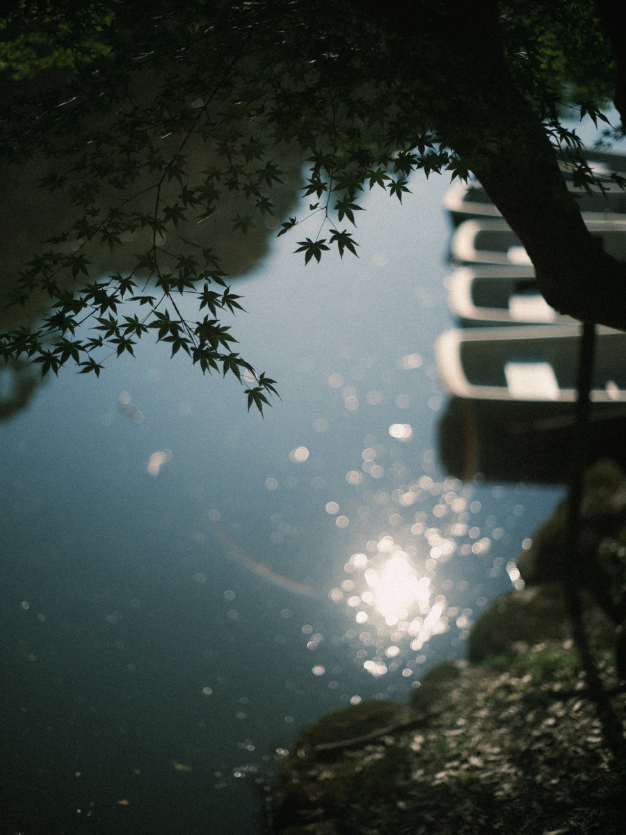 32_mitu_oo0's tweet image. light.