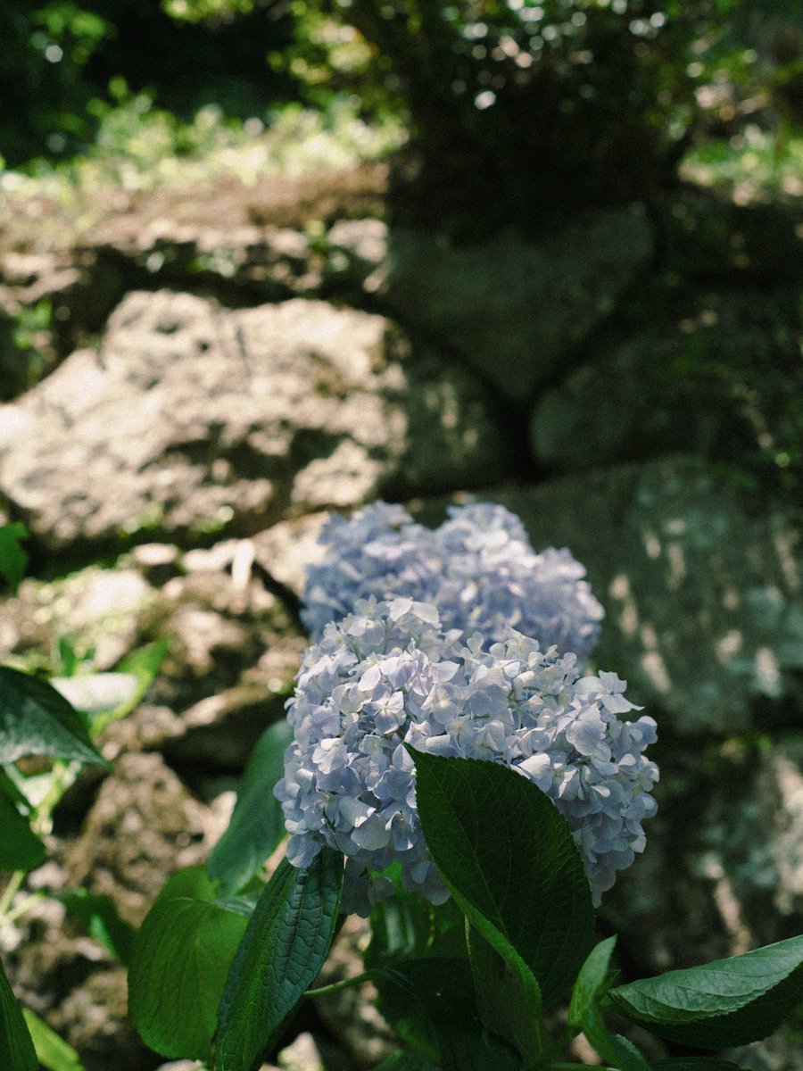 32_mitu_oo0's tweet image. light.