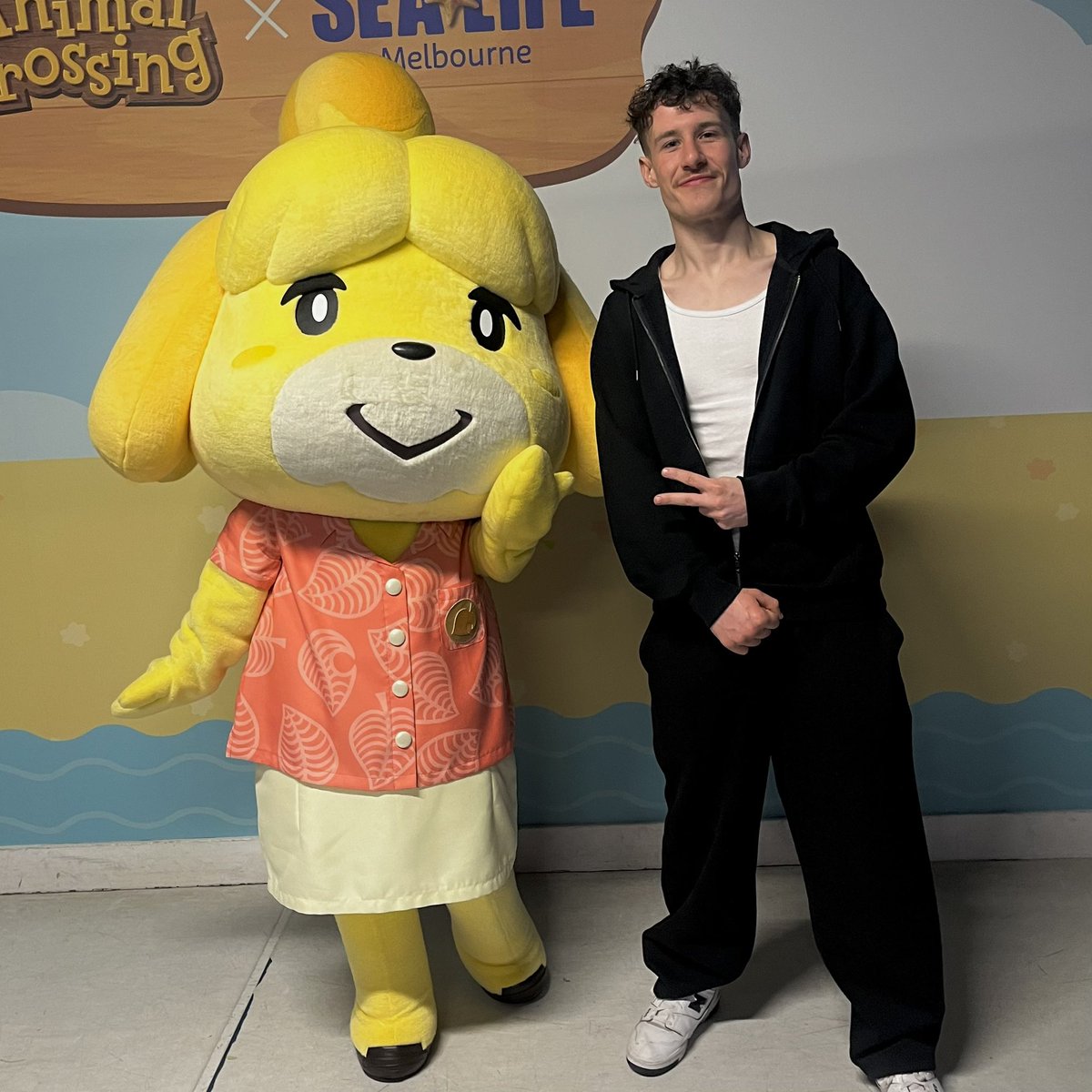 Camerween tweet media