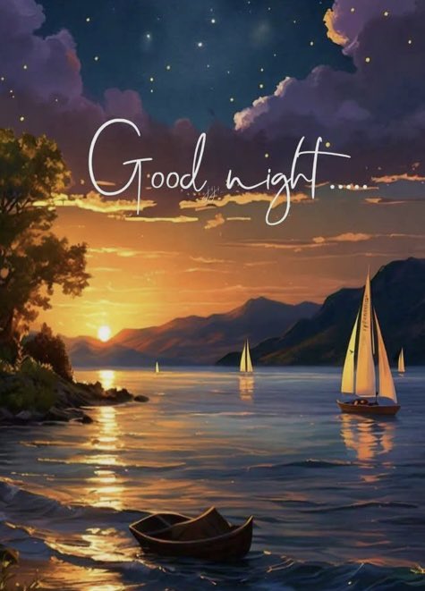 Sweet dreams! Good night!