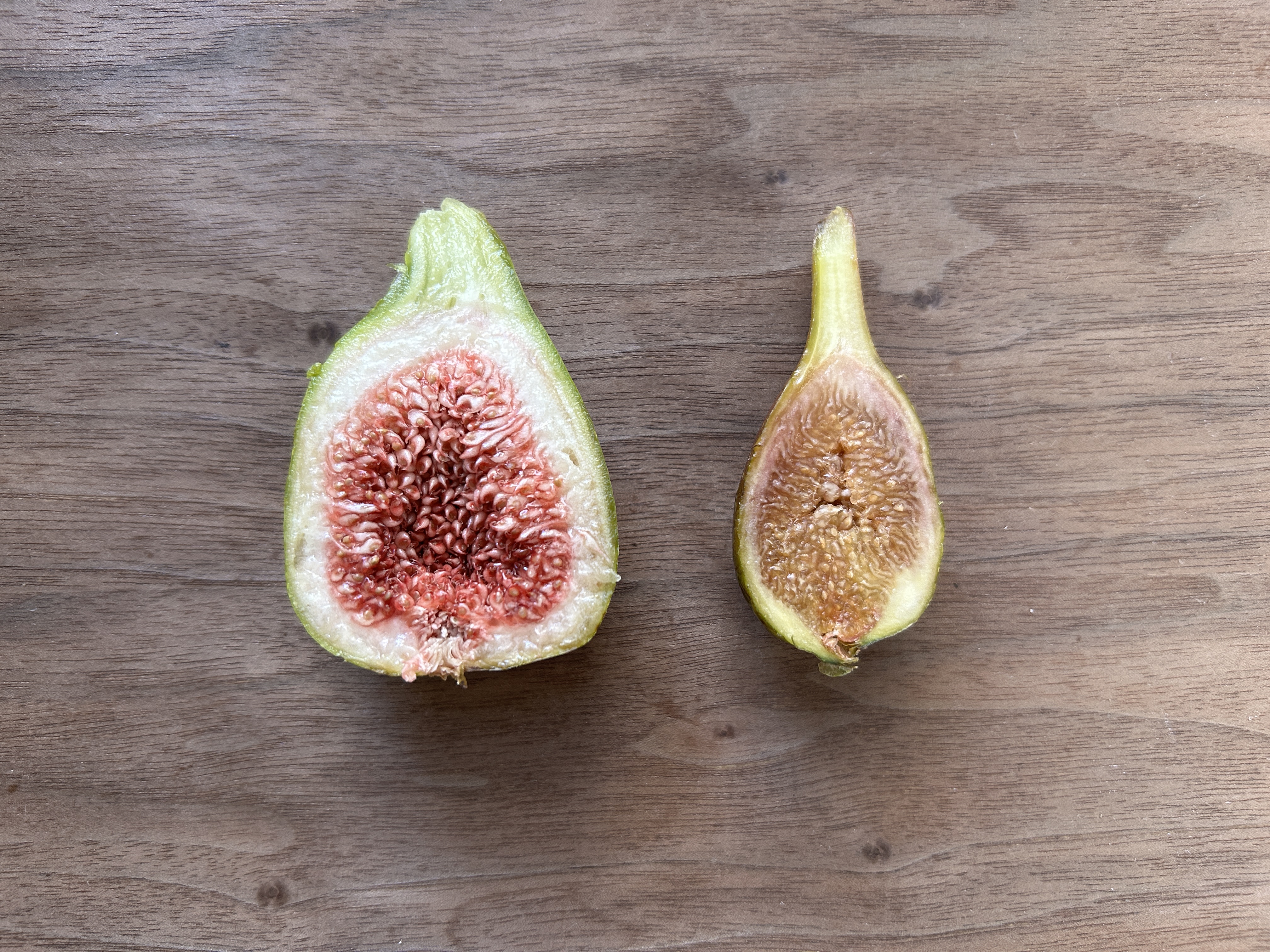 Fig & Berry Collection (@garden_fig) / X