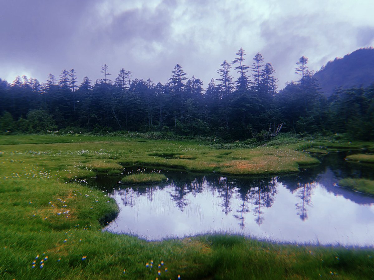 l3Rxx's tweet image. 長野にお邪魔して歩いてきた！山と湿原とても良かった🌲🪵🌳