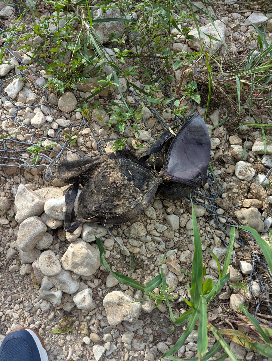 Our litter pickup so far this weekend included 4 bags full of plastic bottles, snack wrappers, strewn poop bags, a mud encrusted sock, and some undergarments!