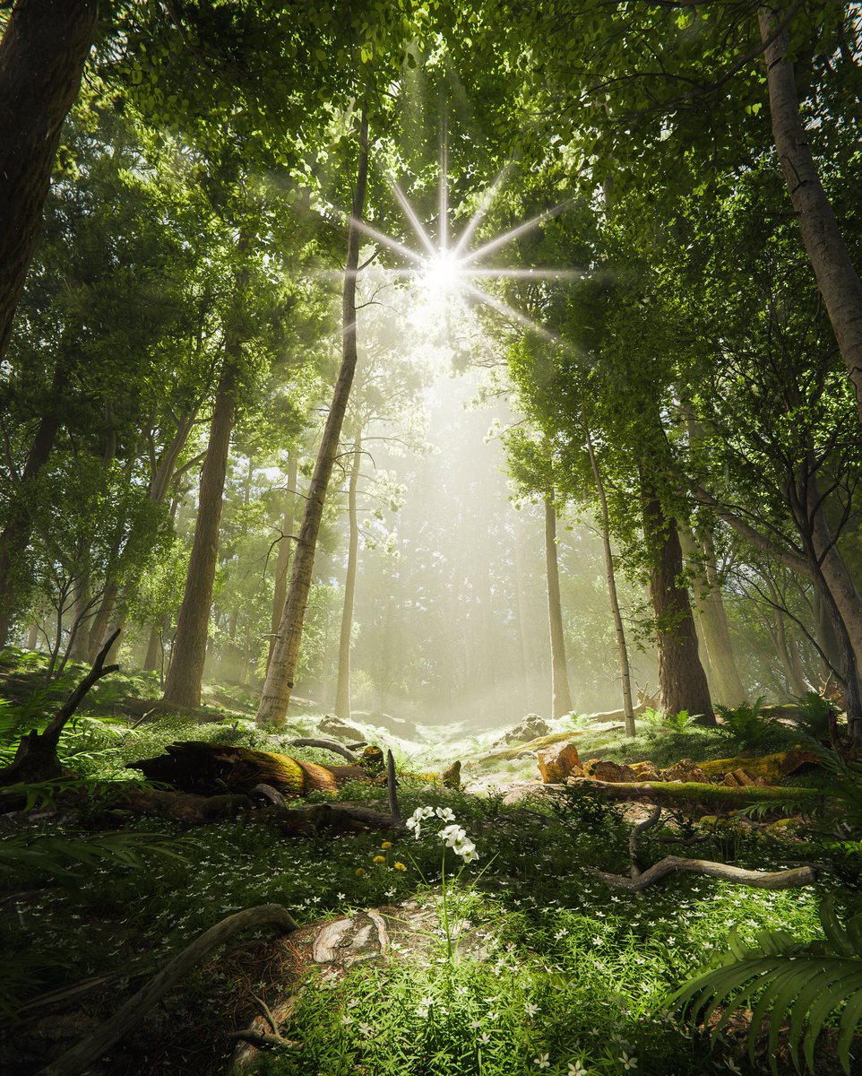 maxhayart's tweet image. l've been testing @sweeper3d's new nature addon for blender, Arborea. He's been working non stop the last 8-12 months to make the perfect tool for creating nature in blender, and I can confidently say it's the best addon I have ever used.
It should be dropping in the next week!