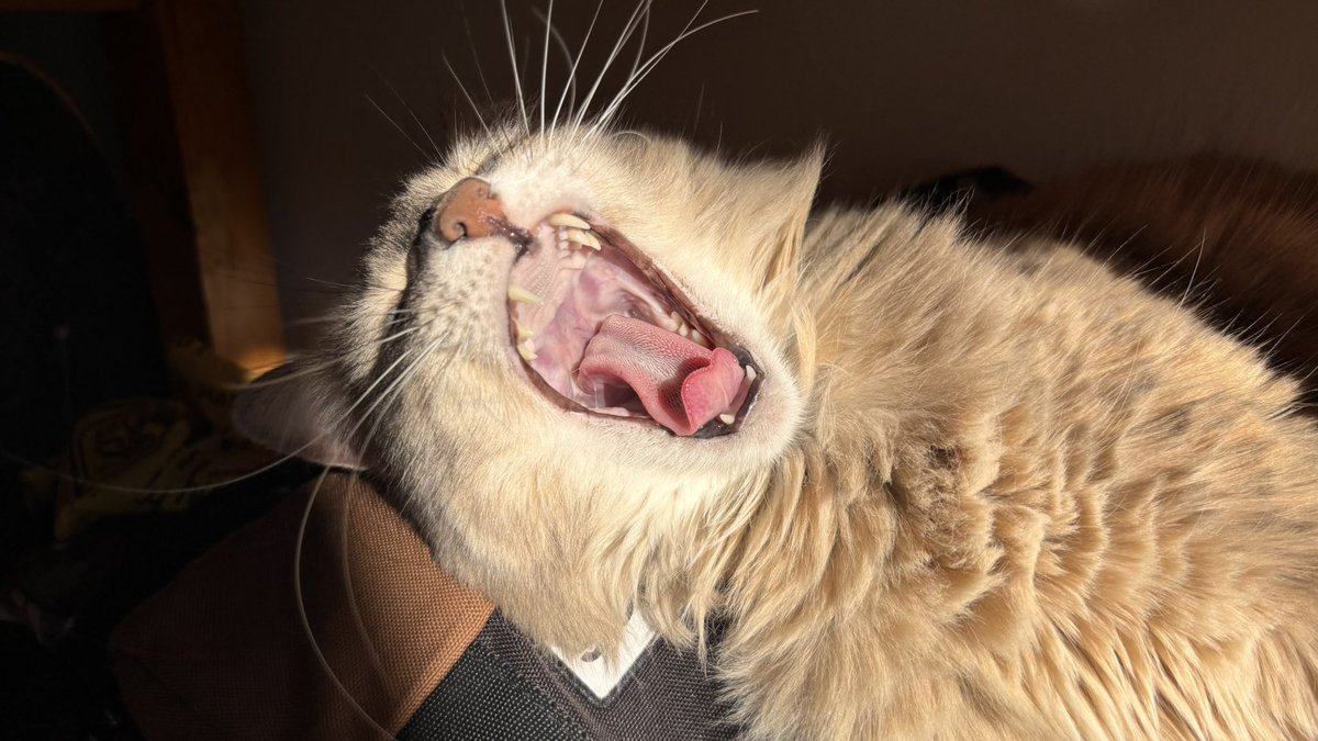 Ella ❤️ sobre todo lo que pertenece a <a href="/diegocannn/">Diego Canavesi</a>