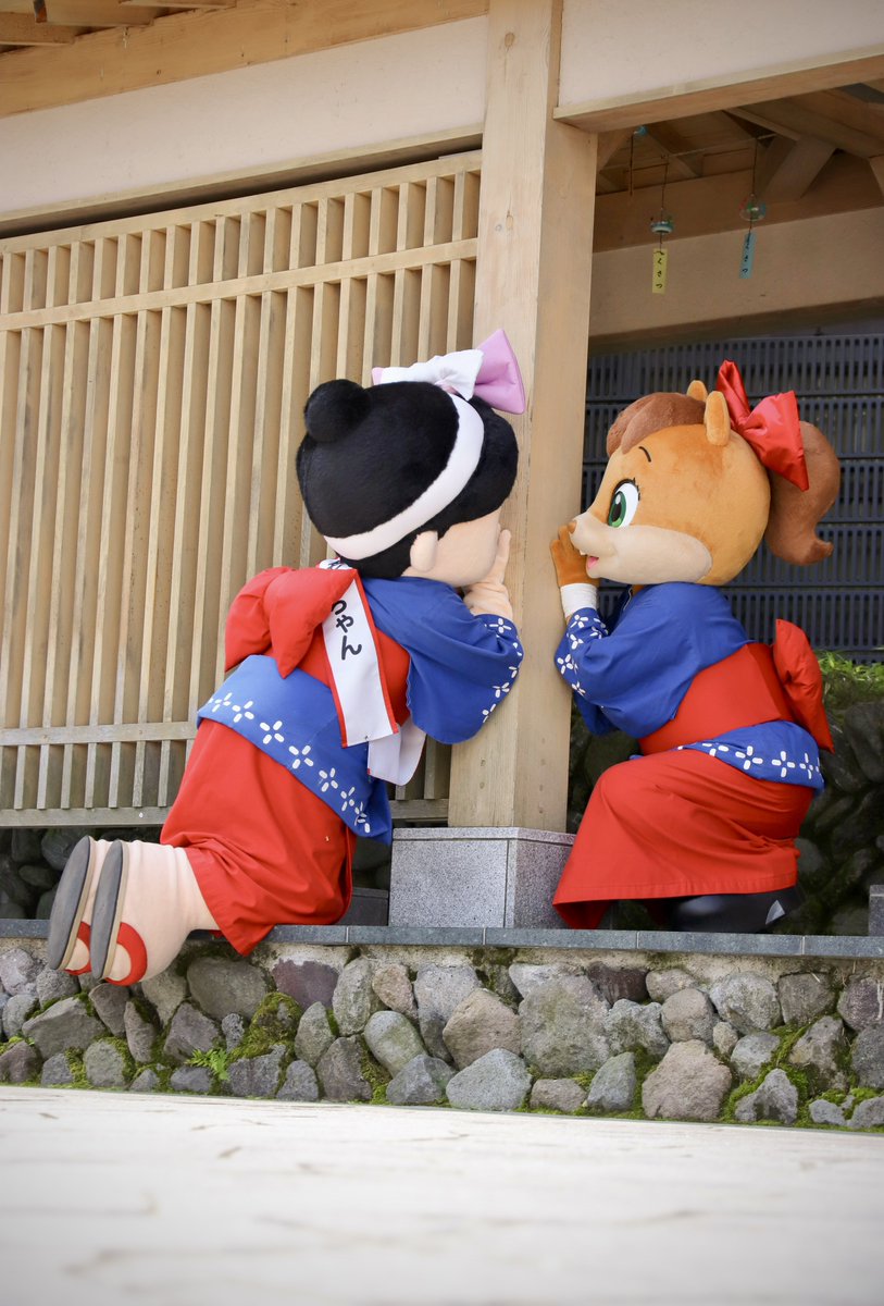 ebinomaegami's tweet image. 見てるだけで幸せになれる( ◜︎︎𖥦◝ )✨️
 #ゆもティ
