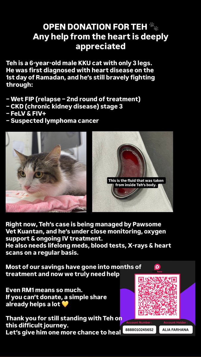 alia π (@ia1iaaa) on Twitter photo <a href="/samantha_cavill/">Samantha Cavill</a> <a href="/fourmeows1/">fourmeows</a> <a href="/itsybitsymin/">min min π±</a> <a href="/frdsh_/">F</a> <a href="/yemmeow/">emma</a> <a href="/Miyabellsoz/">Miyabell</a> <a href="/ninashakirax/">πͺ΅</a> <a href="/prettylupins/">Mei π</a> <a href="/ManjitSinghG5/">M.S.G.S</a> <a href="/iffahs_/">iffah/pah π</a> <a href="/ImranSyaffi/">M'ran</a> <a href="/StrayFreeFndn/">Stray Free Foundation</a> <a href="/abilsuhaimi/">Nabila Huda</a> <a href="/tattyhassan/">Tatty H.</a> <a href="/cats_rehome/">Kucing Terbuang</a> <a href="/CeddyOrNot/">Ceddy</a> <a href="/afhdlla_/">afiah dilla</a> <a href="/AimanAirin2/">NegaraKuTanahAir π²πΎ</a> <a href="/khuntzz/">farkhan</a> <a href="/lowongcat/">nekoγγγπ</a> <a href="/kyril_graguks/">Kyrilescobar#Rakyat#Haiwan</a> <a href="/meeayusri/">π Meea</a> <a href="/FiskaYenitaFK_/">π¦π’π¨π°πΎ</a> <a href="/fatyhaxx/">.</a> <a href="/sffeaaa_/">fey π£</a> <a href="/hilang_jumpa/">Kucing Hilang Jumpa Malaysia</a> <a href="/adibahhanun/">Adyb</a> If this post crosses your TL, please help Teh.
He still needs RM570 to continue his heart & CKD treatment this month ππ»
Weβve already run out of savings, and the other cats at home also need financial support too π₯Ί
If you donβt mind could you help Teh again? π€ <a href="/samantha_cavill/">Samantha Cavill</a> <a href="/fourmeows1/">fourmeows</a> <a href="/itsybitsymin/">min min π±</a> <a href="/frdsh_/">F</a> <a href="/yemmeow/">emma</a> <a href="/Miyabellsoz/">Miyabell</a> <a href="/ninashakirax/">πͺ΅</a> <a href="/prettylupins/">Mei π</a> <a href="/ManjitSinghG5/">M.S.G.S</a> <a href="/iffahs_/">iffah/pah π</a> <a href="/ImranSyaffi/">M'ran</a> <a href="/StrayFreeFndn/">Stray Free Foundation</a> <a href="/abilsuhaimi/">Nabila Huda</a> <a href="/tattyhassan/">Tatty H.</a> <a href="/cats_rehome/">Kucing Terbuang</a> <a href="/CeddyOrNot/">Ceddy</a> <a href="/afhdlla_/">afiah dilla</a> <a href="/AimanAirin2/">NegaraKuTanahAir π²πΎ</a> <a href="/khuntzz/">farkhan</a> <a href="/lowongcat/">nekoγγγπ</a> <a href="/kyril_graguks/">Kyrilescobar#Rakyat#Haiwan</a> <a href="/meeayusri/">π Meea</a> <a href="/FiskaYenitaFK_/">π¦π’π¨π°πΎ</a> <a href="/fatyhaxx/">.</a> <a href="/sffeaaa_/">fey π£</a> <a href="/hilang_jumpa/">Kucing Hilang Jumpa Malaysia</a> <a href="/adibahhanun/">Adyb</a> If this post crosses your TL, please help Teh.
He still needs RM570 to continue his heart & CKD treatment this month ππ»
Weβve already run out of savings, and the other cats at home also need financial support too π₯Ί
If you donβt mind could you help Teh again? π€