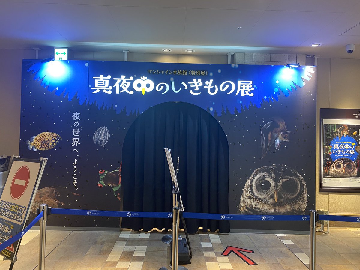 Rize_0715's tweet image. ずっと真夜中でいい生き物たち