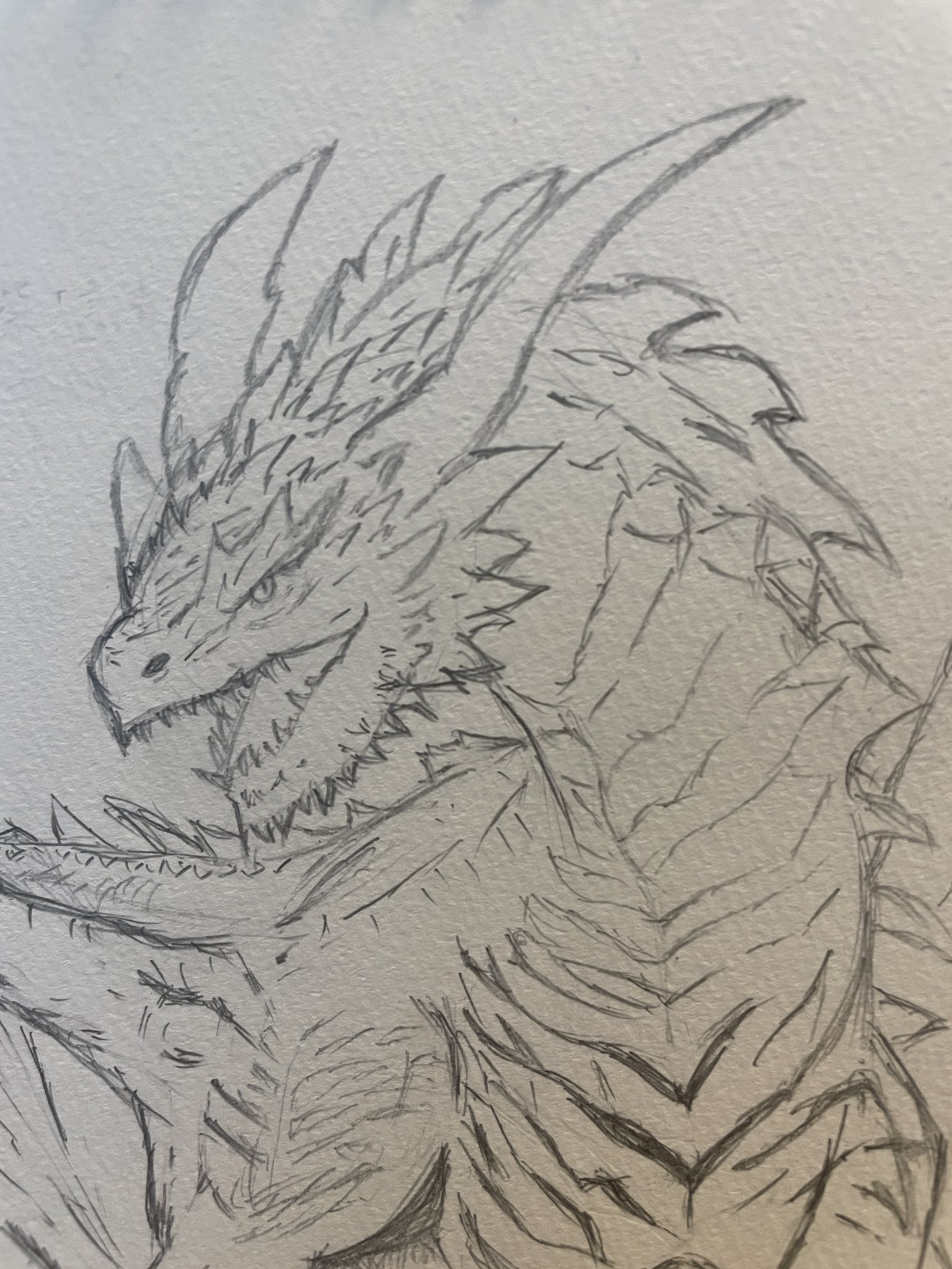 手描きイラスト・バリアス7・リクエスト・原画 手描きイラスト・原画1点物・リクエスト・バリアス7様専用