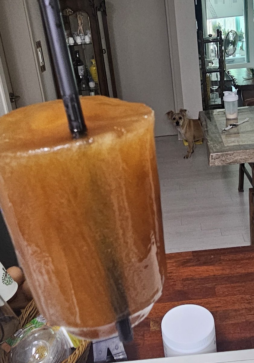 아시발 아메리카노 포장한거 집에 잃어버렸는데 이틀만에
냉동실 넣어둔거 지금찾음