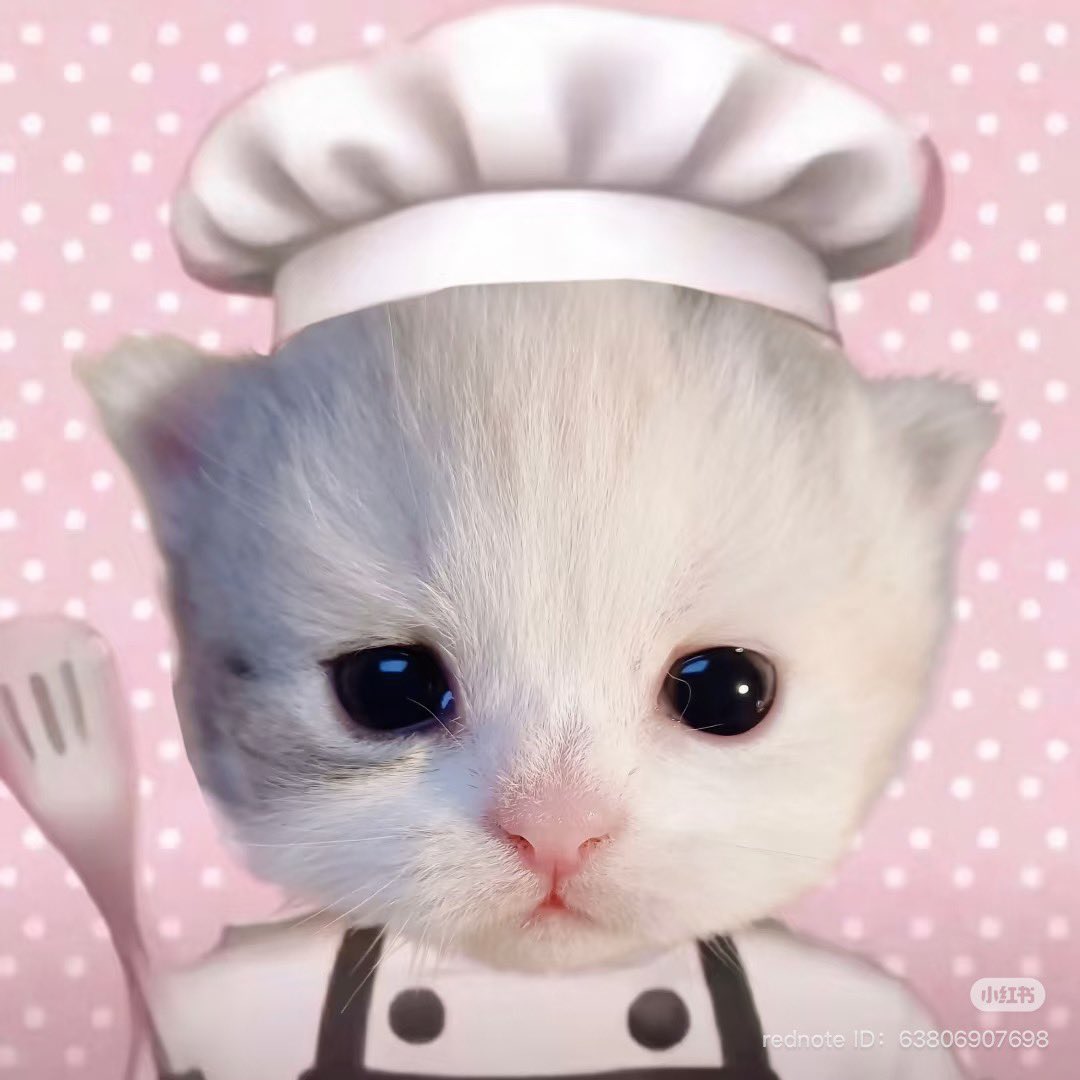 시드니 (@sp2yl6) on Twitter photo 