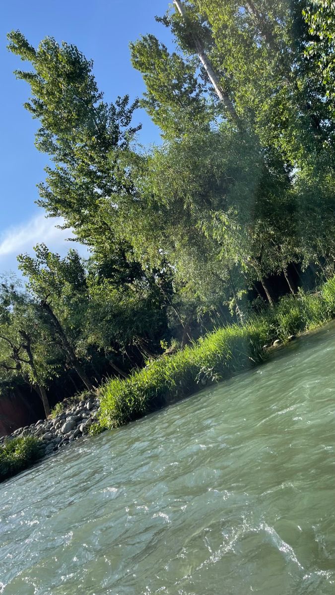 Good morning Everyone😍