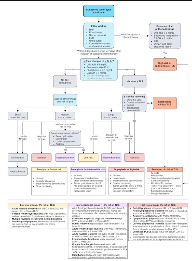 💡Tumor Lysis Syndrome Approach 

By <a href="/MatthewHoMD/">Matthew Ho</a>