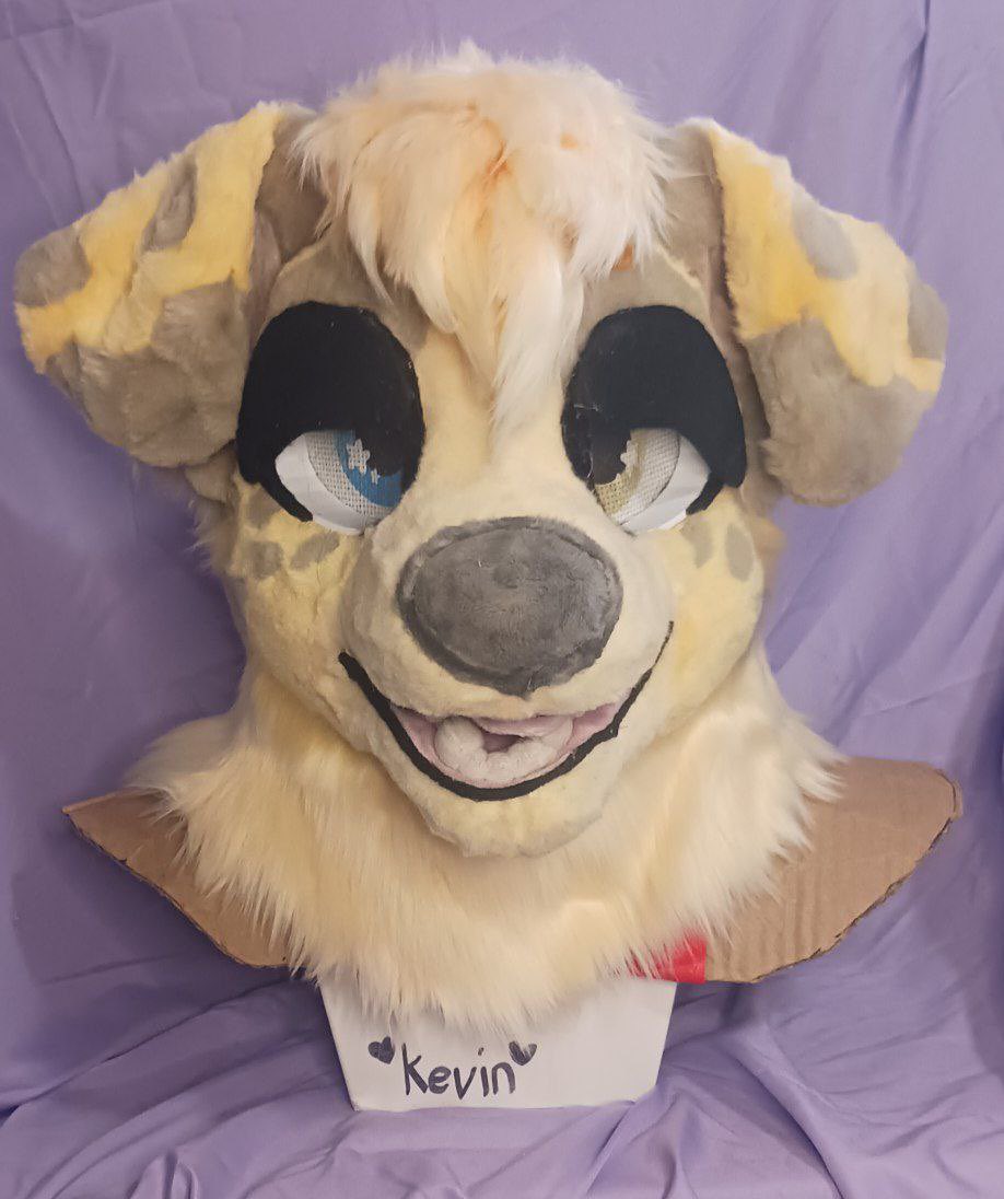 Mozzie :3 🔜 Fur-Eh tweet media