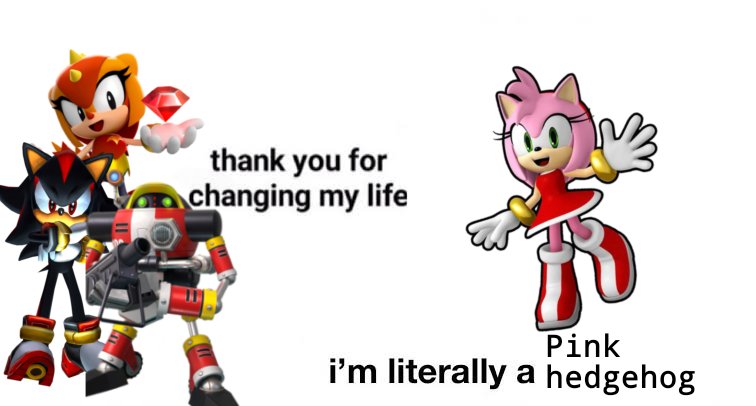 Amy_rose_fanlol (@amyrosesimp1) on Twitter photo 