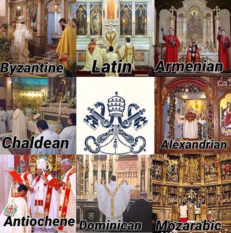 NCMvmt's tweet image. This is how true freedom of religion should be: for followers of Christ only.