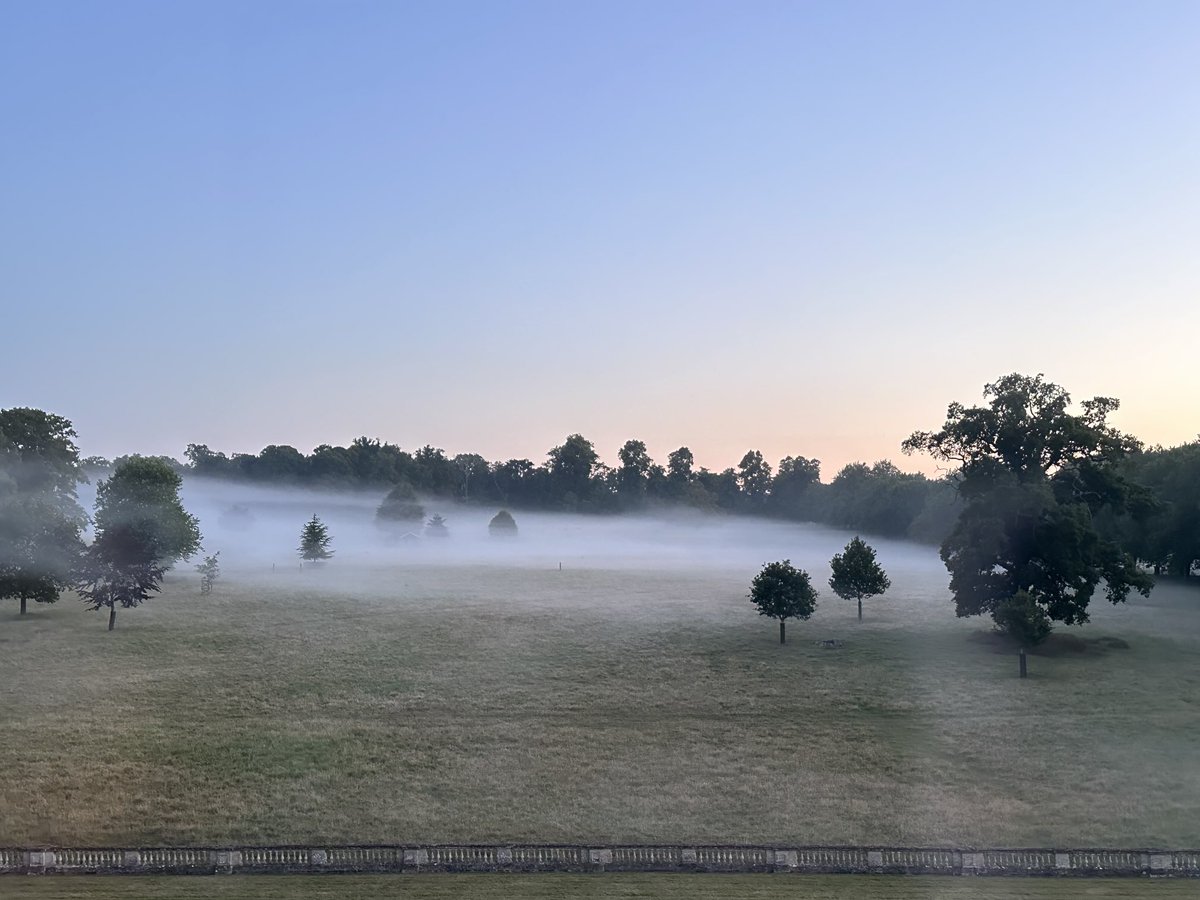 cspencer1508's tweet image. Mist over Althorp’s Deer Park at 4.30 this morning.
