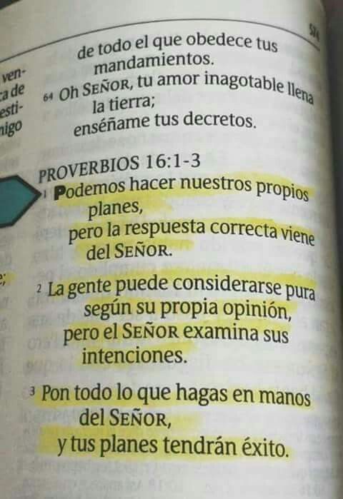 💰Bushi: El CHAMO comeback tweet media