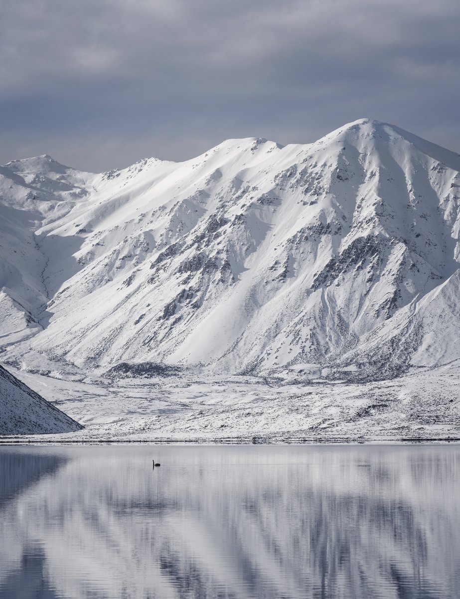 Ebony and Ice, a Reflected Majesty 

 Like a solitary stroke of living ink on the canvas of placid waters, a black swan glides through a mirrored world. 
Snow-capped sentinels stand vast, their grandeur doubled on the lake's glassy surface. 
This is winter's breath made visible.