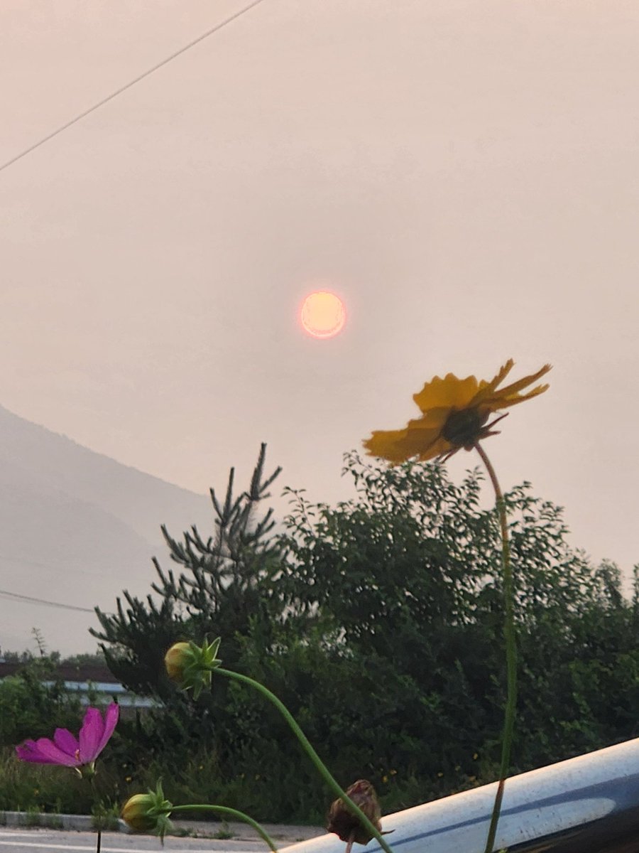 #강화외국인 tweet media