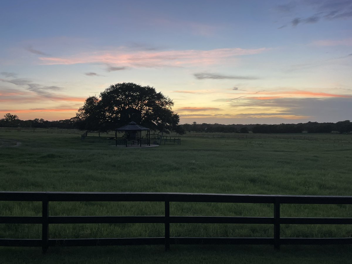 George Llanes tweet media