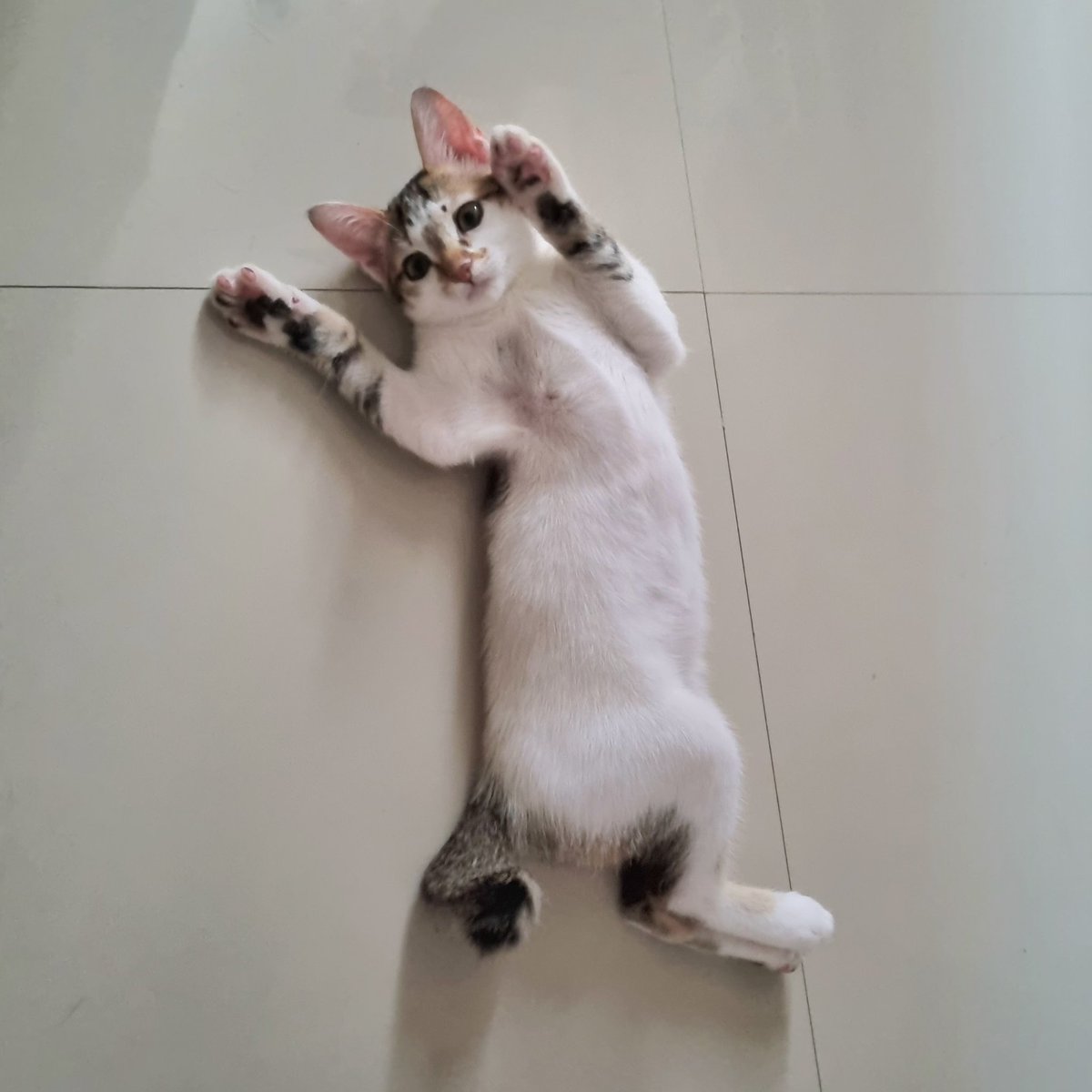 capcapcuap's tweet photo. amphun https://t.co/KLQL5g9YAA