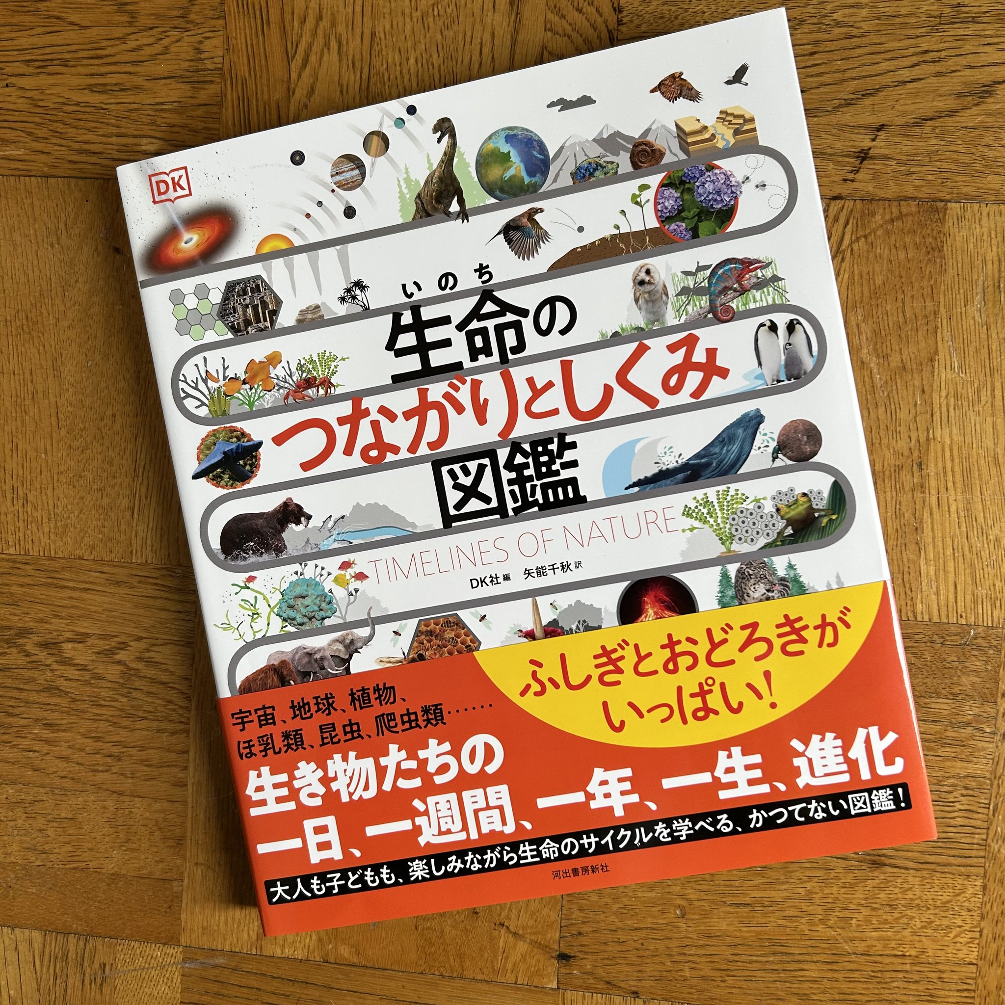 ミステリー小説等115冊セット 夕木春央 方舟 十戒 ミステリー小説 推理小説 セット｜Yahoo