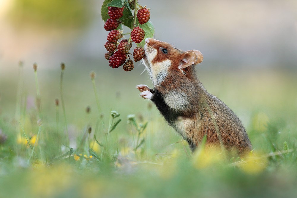 <a href="/Dana__Levina/">💞 Дана Левина 💞</a> <a href="/_NikaSmirnova/">Ника Смирнова 🦋</a> <a href="/_PolinaSavina/">Полина Савина 🧢</a> <a href="/_TatyanaGolub/">Татьяна Голубева 🔥«</a> <a href="/Evelina__Lapina/">Эвелина Лапина</a> <a href="/Mishel_Lebedeva/">Мишель Лебедева</a> <a href="/BogSuvorova/">Богдана Суворова</a> <a href="/Karina__Zimina/">Карина Зимина 🦋</a> <a href="/Mari__Samsonova/">Мария Самсонова 💕</a> <a href="/Dominik_Svetova/">Доминика Светова</a> <a href="/Yuliya_Verina/">Юлия Верина 🍁</a> <a href="/_Anna_Gordeeva/">Анна Гордеева</a> <a href="/Frolova__Nastya/">Анастасия Фролова ✨</a> <a href="/Val_Valereva/">Валентина Валерьева</a> <a href="/Evgen_Safina/">Евгения Сафина</a> <a href="/Alina__Azarova/">Алина Азарова 🔥</a> <a href="/Liza_Vesnina/">Лизавета Веснина</a> <a href="/Sveta_Makeina/">Светлана Макеина</a> <a href="/Kseniya_Aksen/">Ксения Аксенова</a> <a href="/Roza_Rakitina/">Роза Ракитина</a> <a href="/IrishaKoroleva/">Ирина Королева</a> <a href="/_VladaBelova/">Влада Белова</a> <a href="/ya__chara/">Яна</a> <a href="/alberiniks/">Нина Альбертова</a> <a href="/lady__travel/">Нинэлька</a> <a href="/Ansupers/">Анастасия</a> <a href="/Alisa550055/">Алиса</a> <a href="/glamour__fifa/">Нэнси</a> <a href="/santairis_/">Ириска</a> <a href="/polovinkamoya/">Валентина</a> <a href="/niguzan/">Нина</a> <a href="/moyi_angel/">Ангелина</a> <a href="/ledi__briz/">Алина Голубкова</a> <a href="/Irina__Grad/">Ирина Градова</a> <a href="/shelkalina/">Galina Shelest</a> <a href="/leopoldolarag/">Leopoldo Lara</a> <a href="/P_barbaricina/">Patricia ♦️®🇮🇹</a> <a href="/VictoriAGVelan1/">Victoria Guerrero Velandia</a> <a href="/alpost19718/">Istina</a> <a href="/Anatolii70/">.Анатолий70</a> <a href="/Igor55549244/">Igor</a> <a href="/Vladimi94915948/">Vladimir</a> <a href="/math_007tutor/">Цифровой репетитор по математике физике английский</a> <a href="/olv42/">Анна Ильиных</a> <a href="/iO0WDvcSpnyOba5/">Люба</a> <a href="/kathyan72/">Hannah</a> <a href="/saulastam/">Sastam_25</a> <a href="/komaritski/">Slinkin SV</a> <a href="/ViktorMochalin/">mochalin viktor</a> <a href="/MalikaAkram14/">Malika Akram</a>