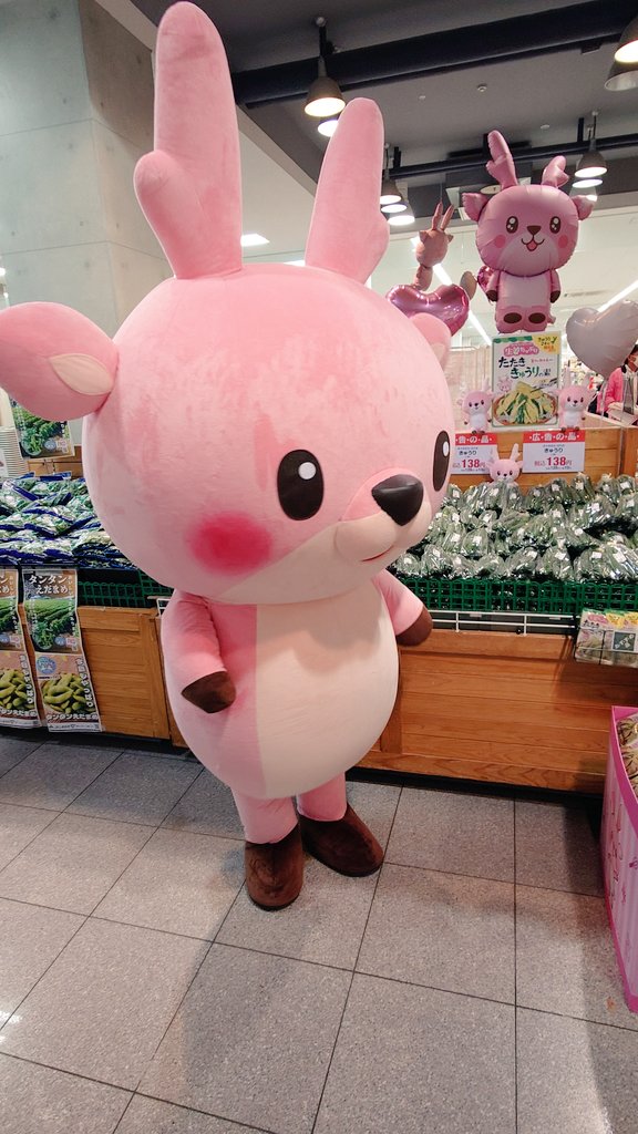IWASHIKA0410's tweet image. 今日は宇都宮FKDインターパークにイワシカちゃんが登場しました!