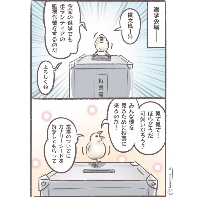 来週7/20は参議院選投票日です。もしもペット達がお迎えしてくれたら投票率があがるかも?私ならモチベはあがるw
#文鳥 
#4コマ漫画 