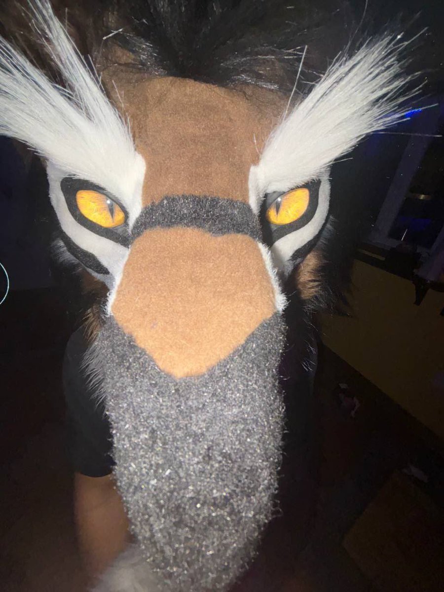 Can we agree that <a href="/YazurWolf/">Yazur 🧀🐺 🔜 MFF</a> sergal looks like a mosquito and from now on he shall be called Muskyto ?

📸: <a href="/KaoiiTH/">Kaoii 🐾</a>