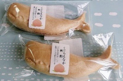 クラファン、いよいよスタートしたんだっちゃ〜‼️
昭和から令和へ、伝統和菓子のバトンばつなぐ旅、みんなの力、貸してけらいんね〜🙏✨クラファンページはコメント欄から

#クラファン挑戦中 #仙台弁 #くじら #月刊くじら #仙台土産 #和菓子好きとつながりたい #仙台グルメ #仙台スイーツ  #campfire