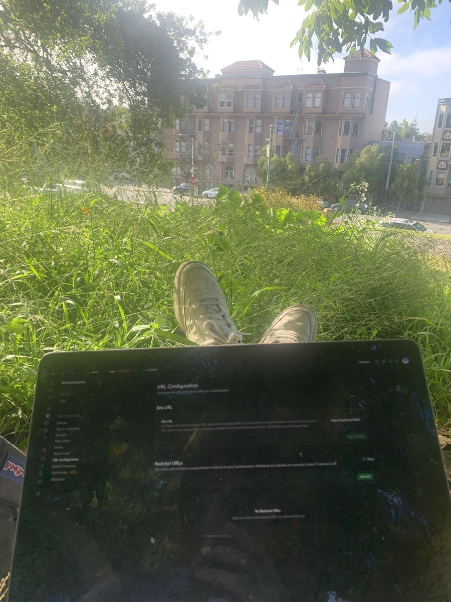 ahamidi_'s tweet image. so fun to build in public 🌿
