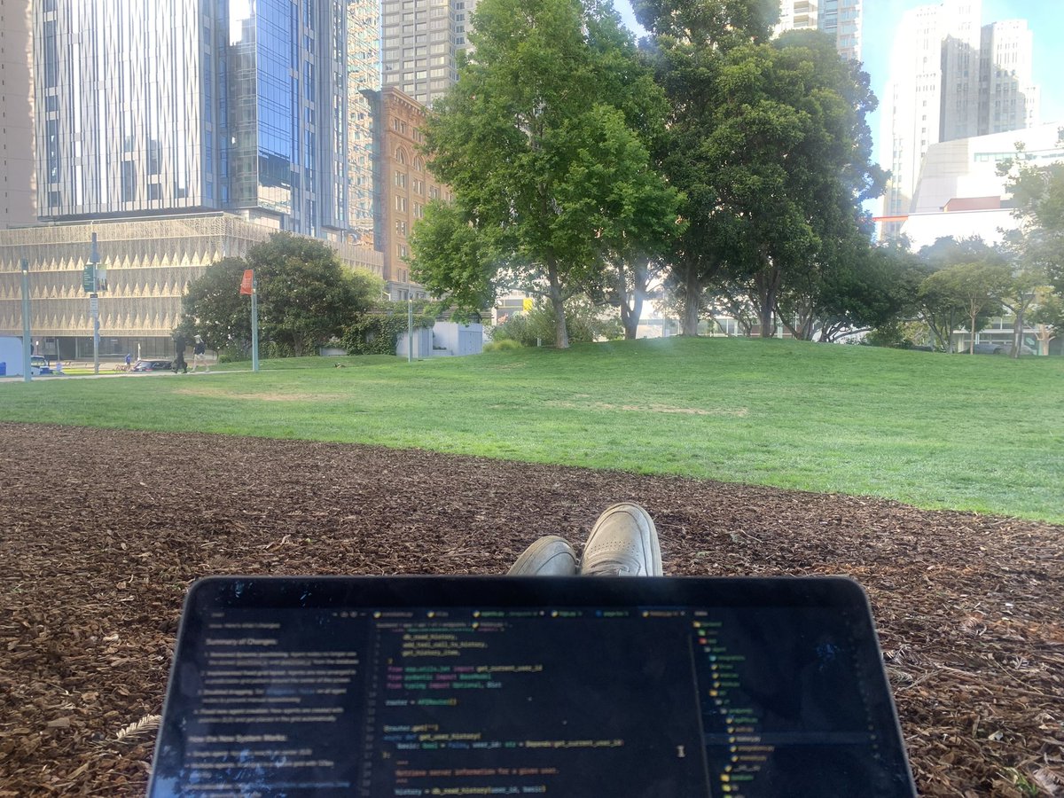 ahamidi_'s tweet image. so fun to build in public 🌿