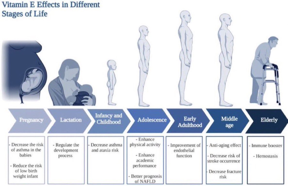 NutrioSci's tweet photo. Vitamin E effects in different stages of life #TIC2025 https://t.co/Nc9VvlEG0T