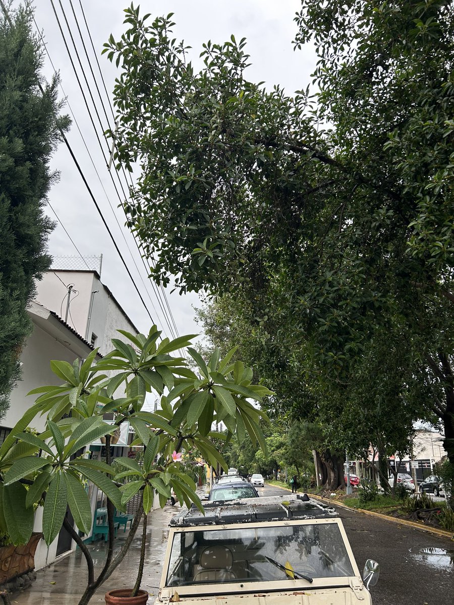 Por dónde anda <a href="/CFEmx/">CFEmx</a> <a href="/CFE_Contigo/">CFE_Contigo</a> cuando se le necesita?